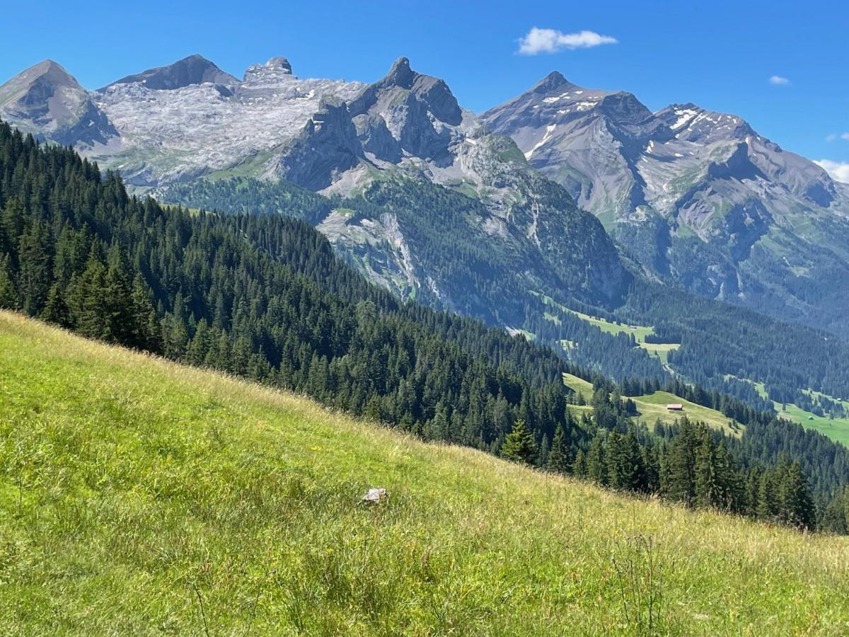 Alpen Charme - Chalet D'Hotes Et Spa Gsteig ภายนอก รูปภาพ